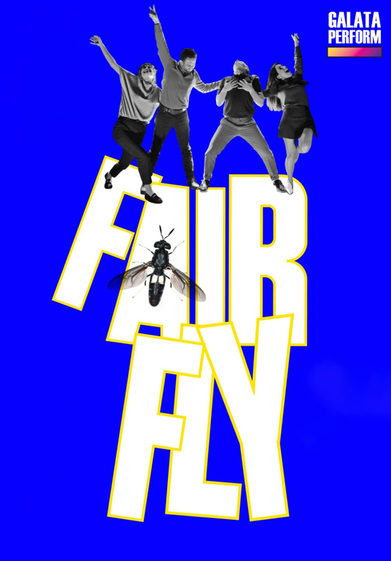 Fairfly Poster