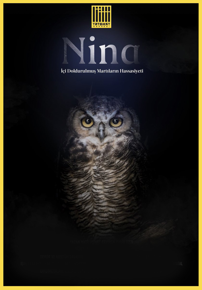 Nina - İçi Doldurulmuş Martıların Hassasiyeti Poster