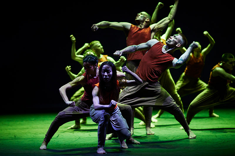 Akram Khan Topluluğu: Orman Kitabı Galeri 17