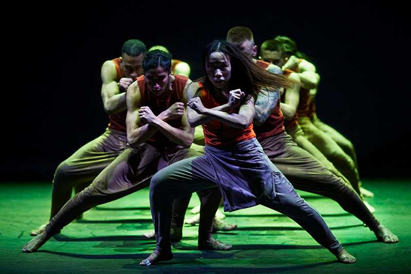Akram Khan Topluluğu: Orman Kitabı Galeri 3