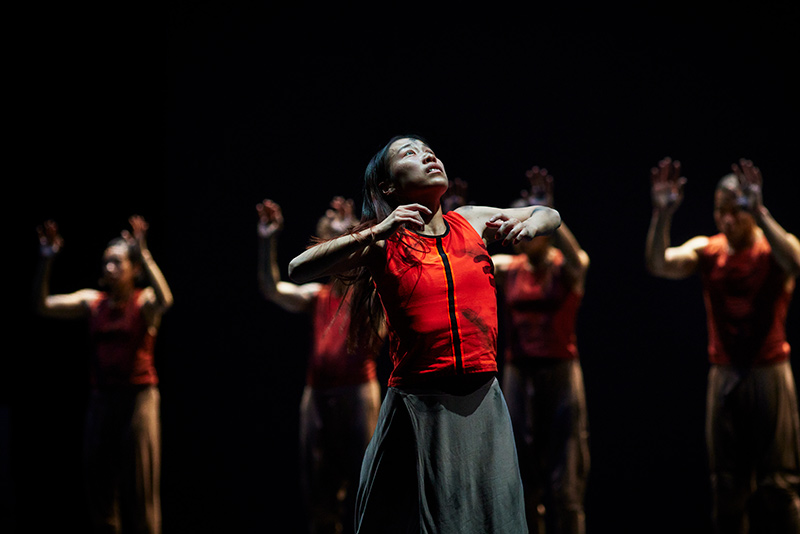 Akram Khan Topluluğu: Orman Kitabı Galeri 4