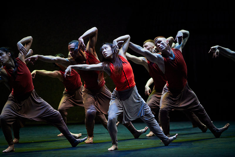 Akram Khan Topluluğu: Orman Kitabı Galeri 11