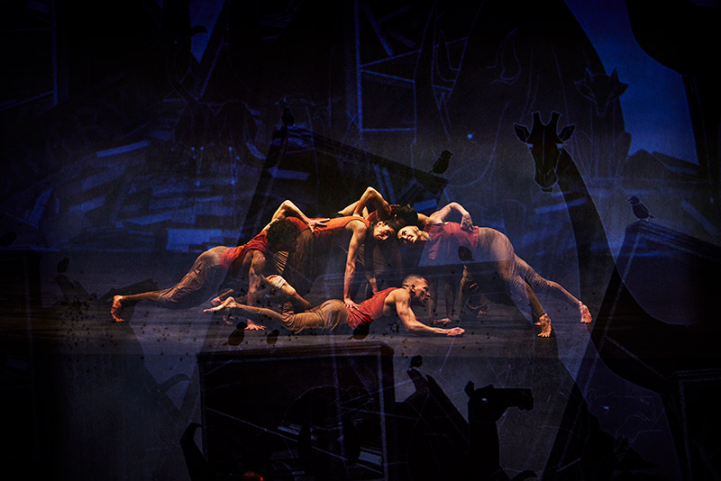 Akram Khan Topluluğu: Orman Kitabı Galeri 16