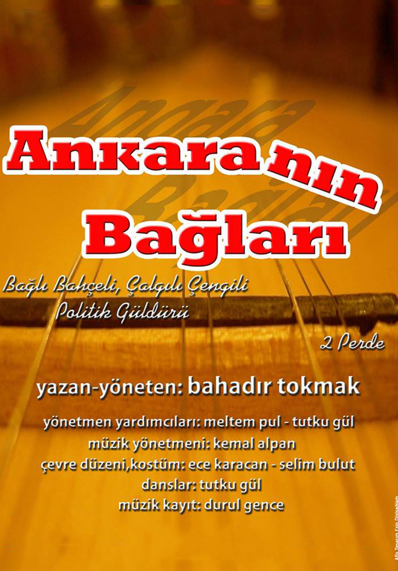 Ankara'nın Bağları Poster