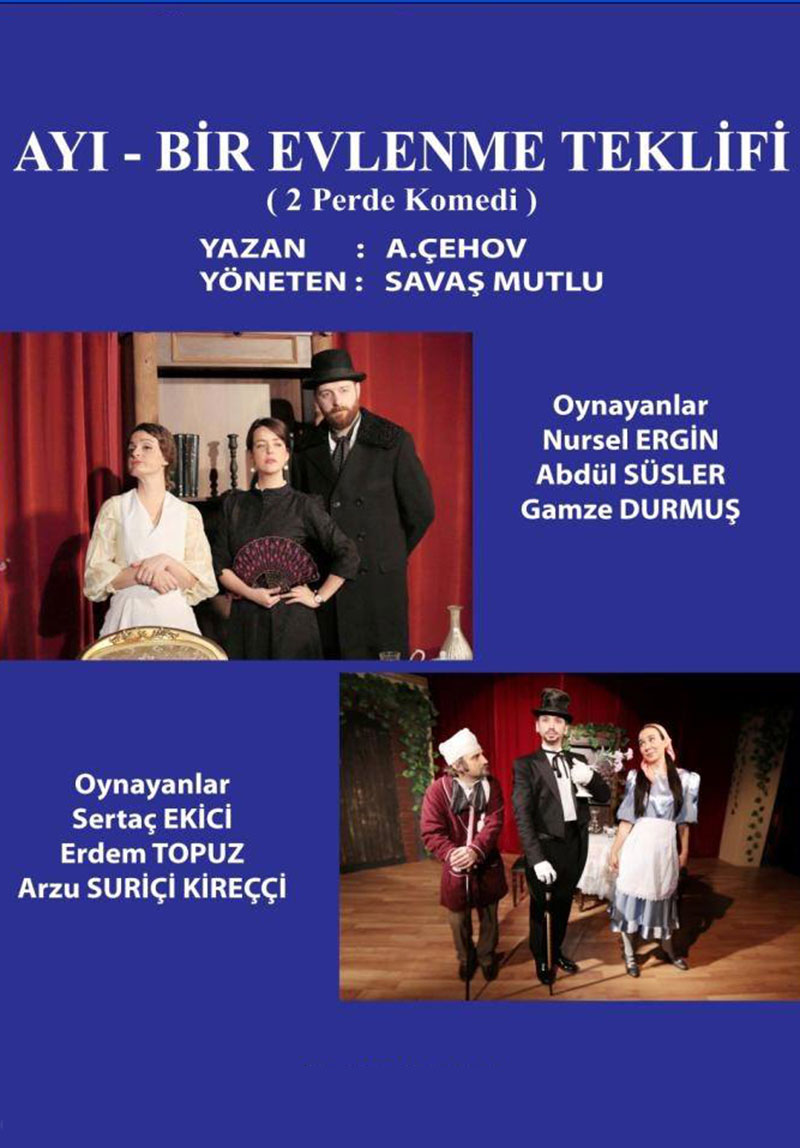 AYI-Bir Evlenme Teklifi Poster