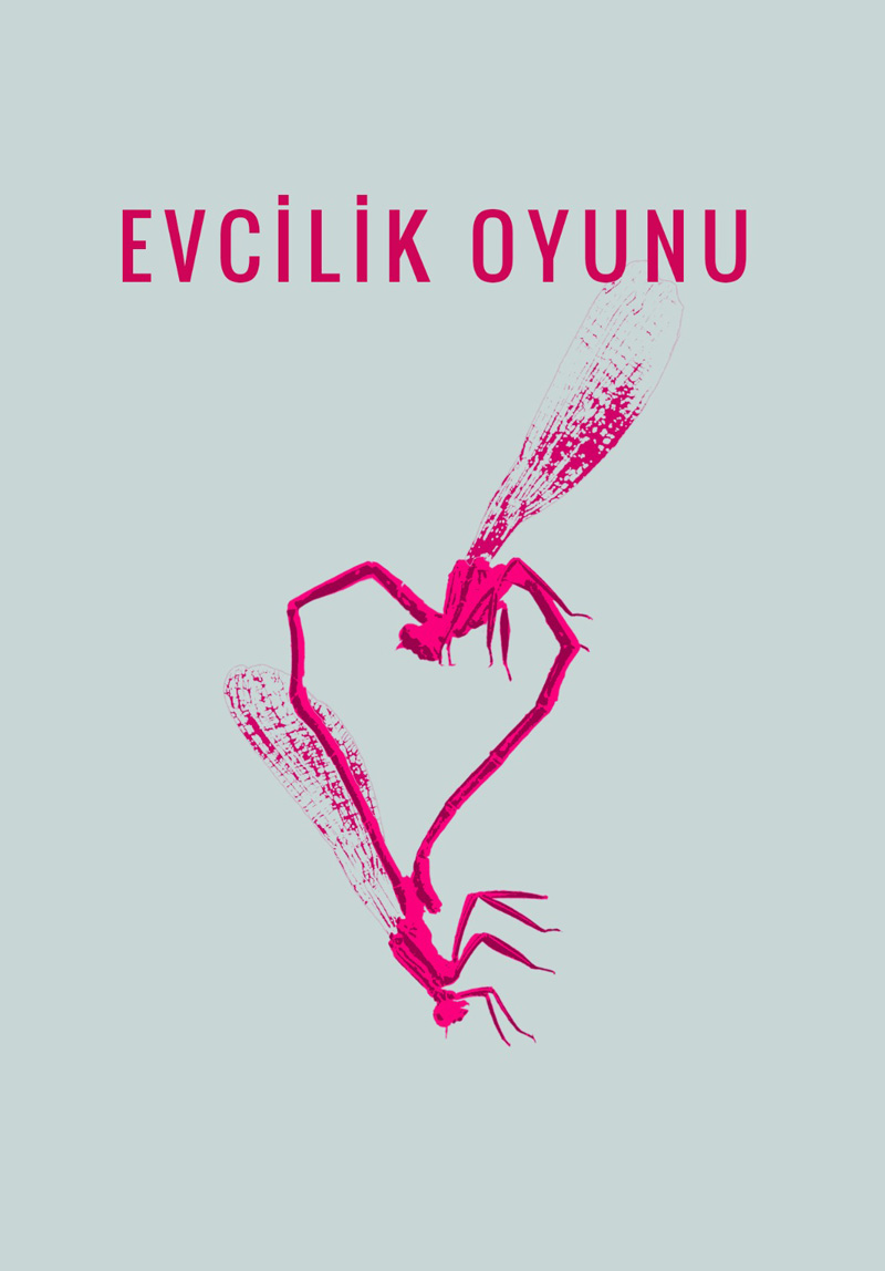 Evcilik Oyunu Poster
