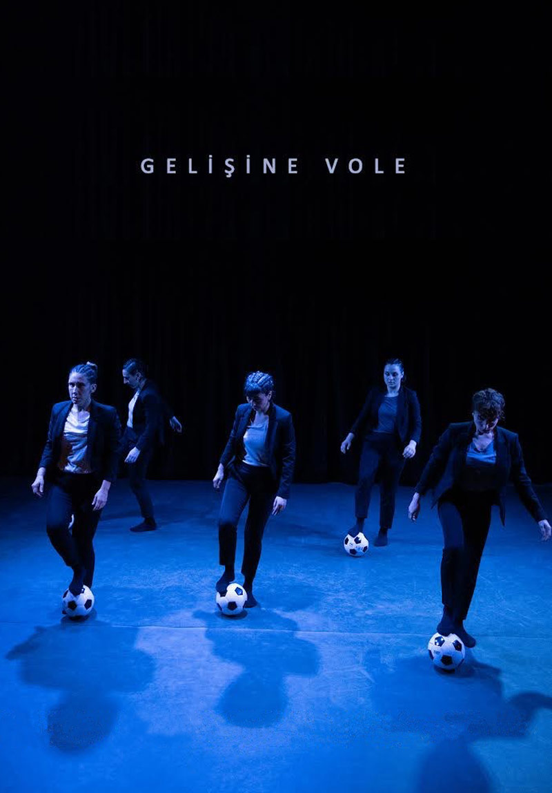 Gelişine Vole Galeri 2