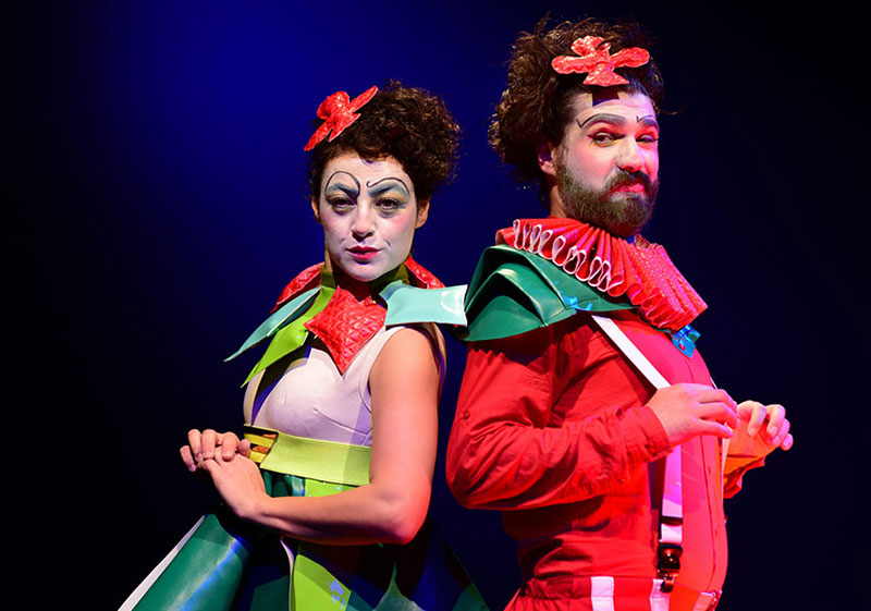 Kel Şarkıcı Galeri 4