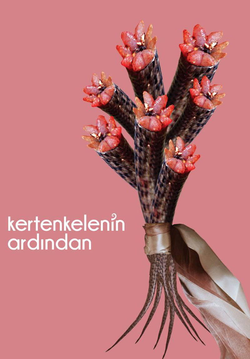 Kertenkelenin Ardından Poster