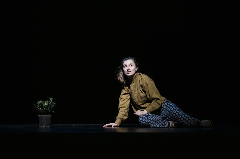 Sevgili Arsız Ölüm - Dirmit Galeri 5