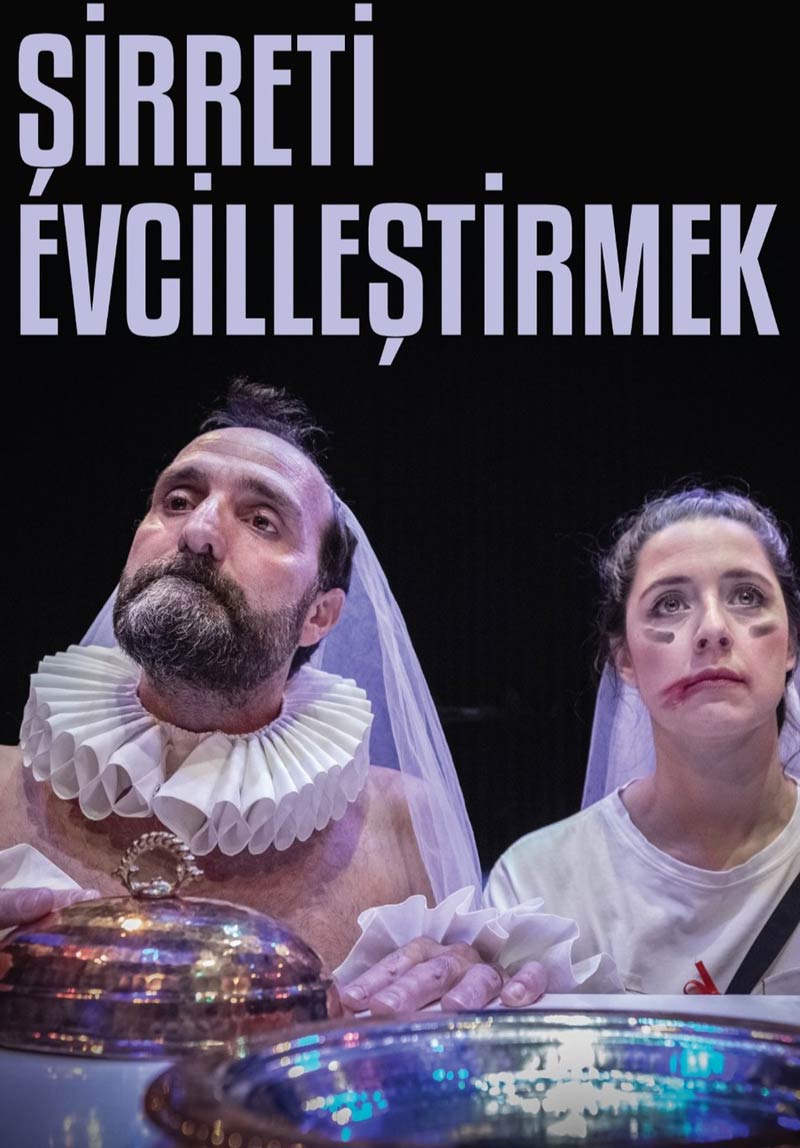 Şirreti Evcilleştirmek (The Taming of the Shrew) Poster