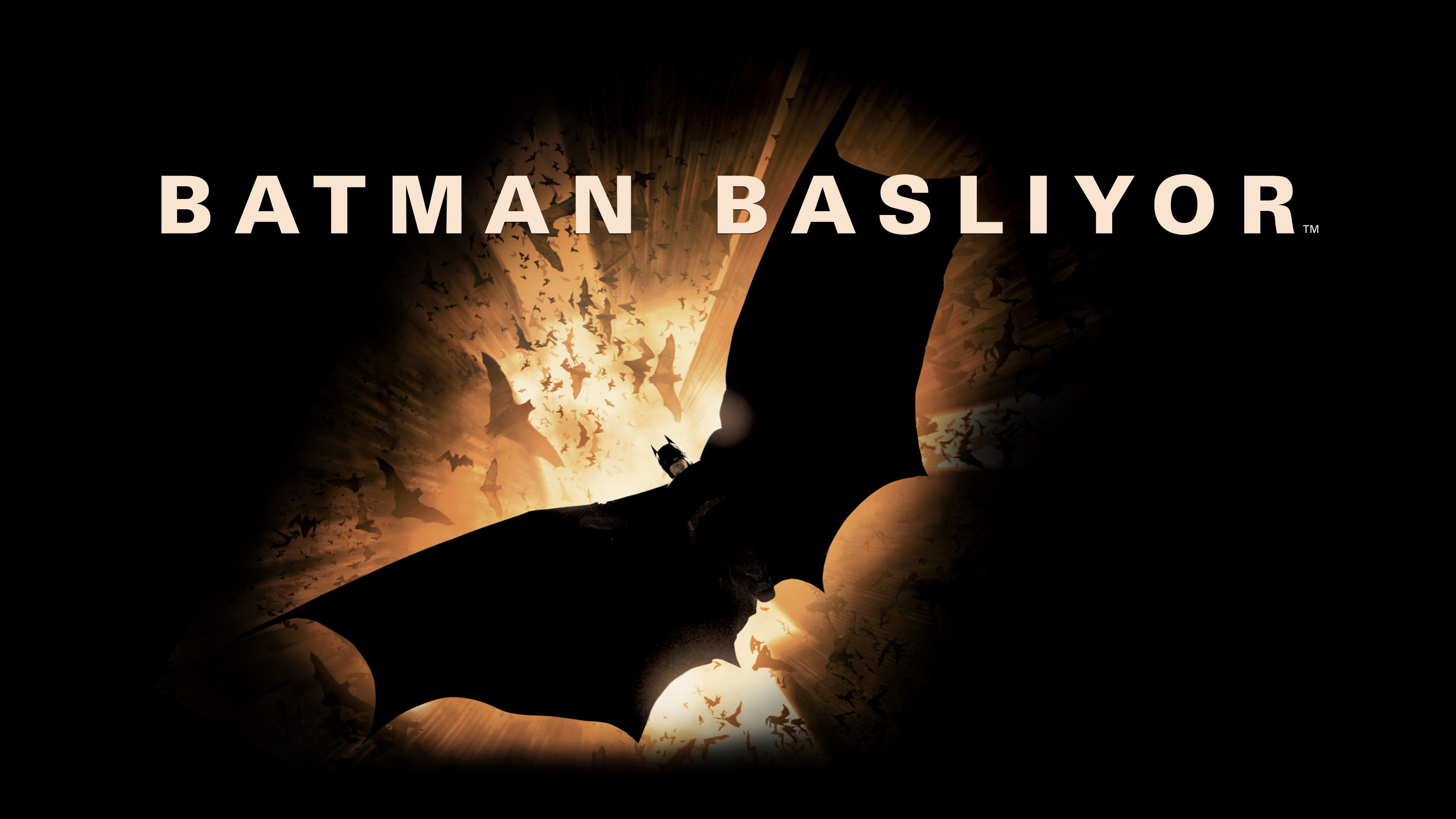 Batman Başlıyor Galeri 3