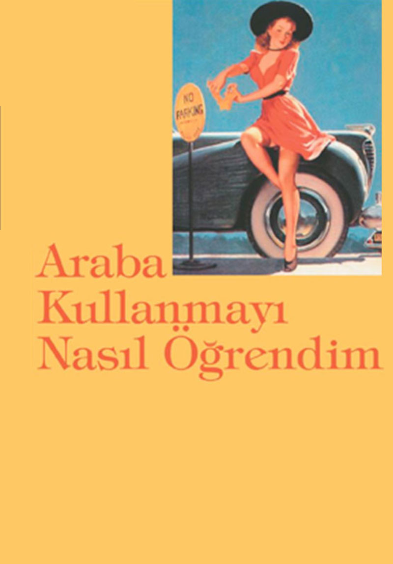 Araba Kullanmayı Nasıl Öğrendim? Poster
