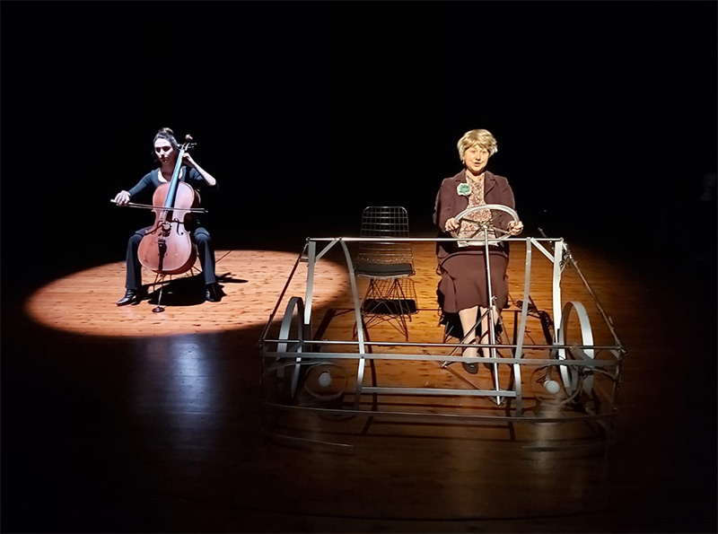 Begonviller Yaza Açar Mı? Galeri 2