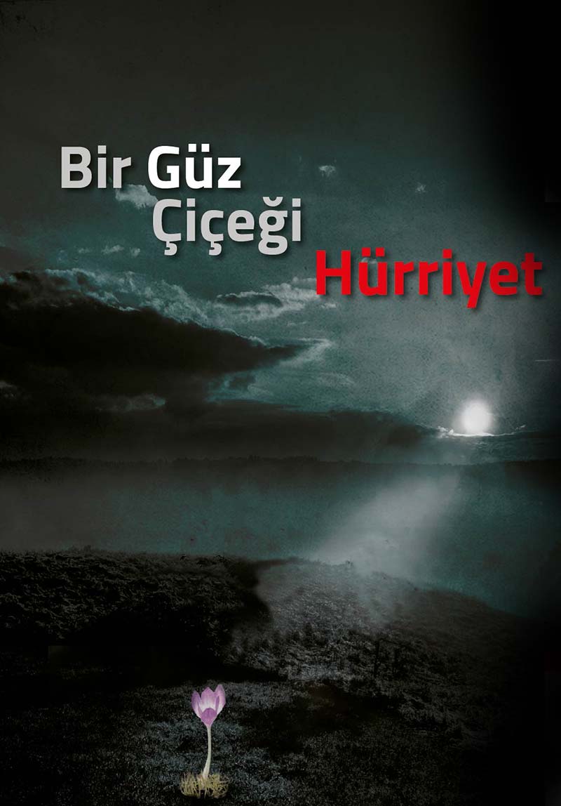 Bir Güz Çiçeği...