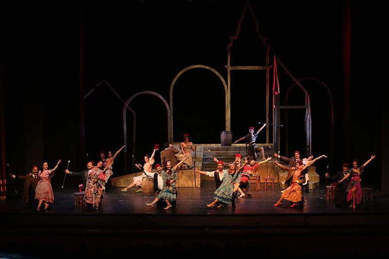 Bir Şehnaz Oyun Galeri 3