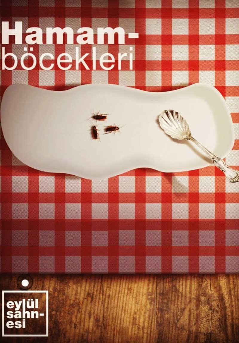 Hamam Böcekleri Poster