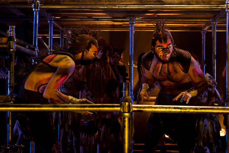 Hayvan Çiftliği Galeri 4