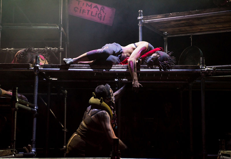 Hayvan Çiftliği Galeri 11