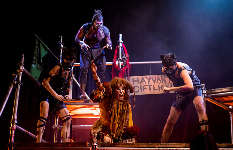 Hayvan Çiftliği Galeri 12