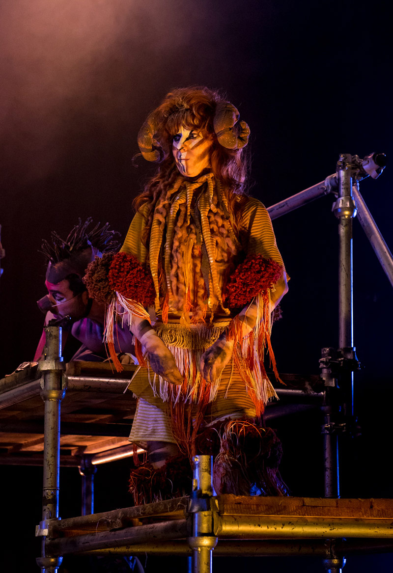 Hayvan Çiftliği Galeri 7