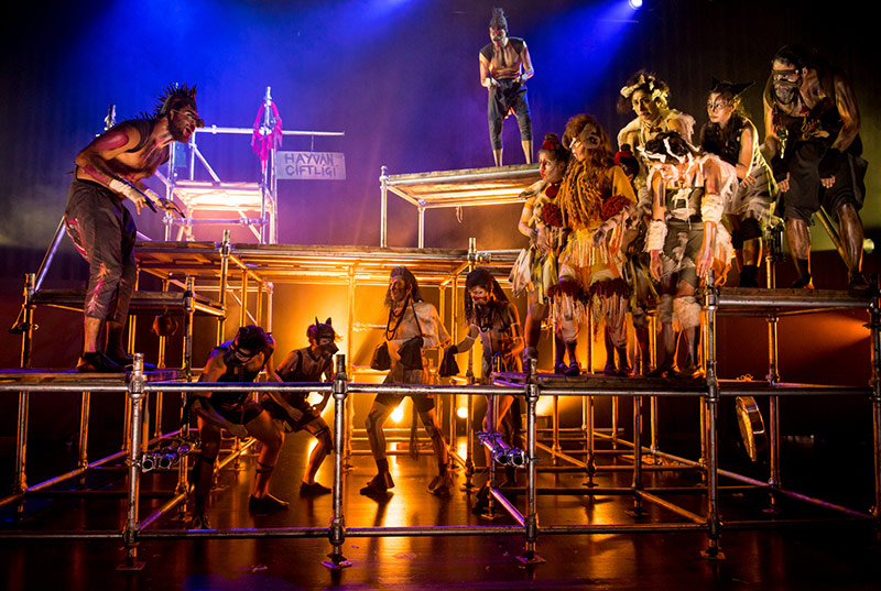 Hayvan Çiftliği Galeri 3