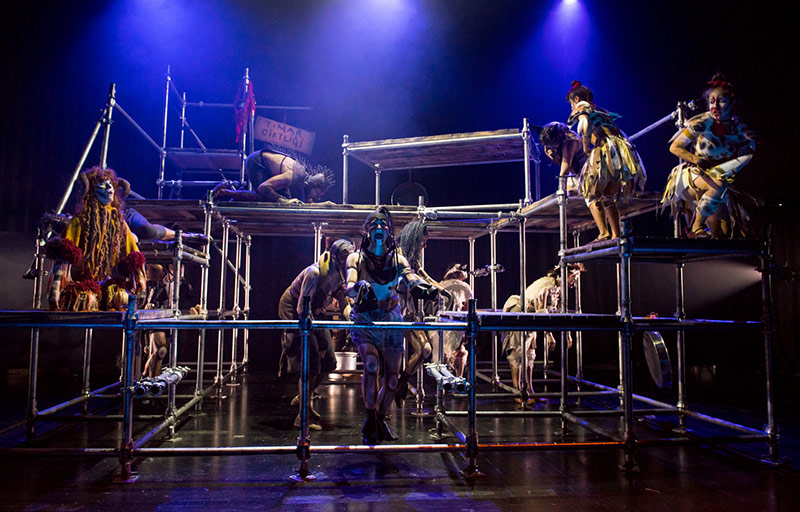 Hayvan Çiftliği Galeri 9