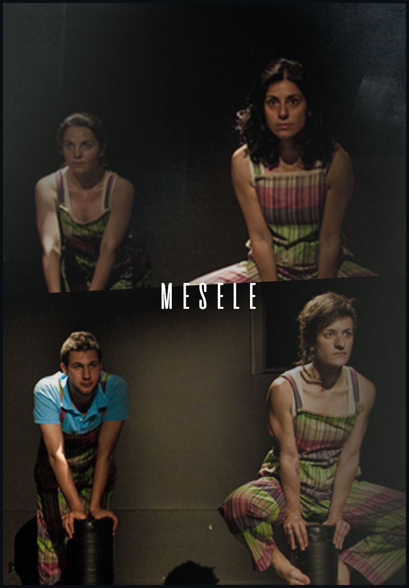 Mesele Poster