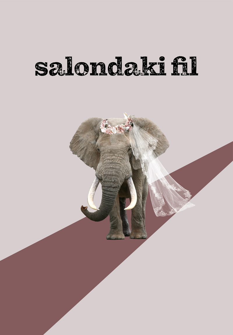 Salondaki Fil