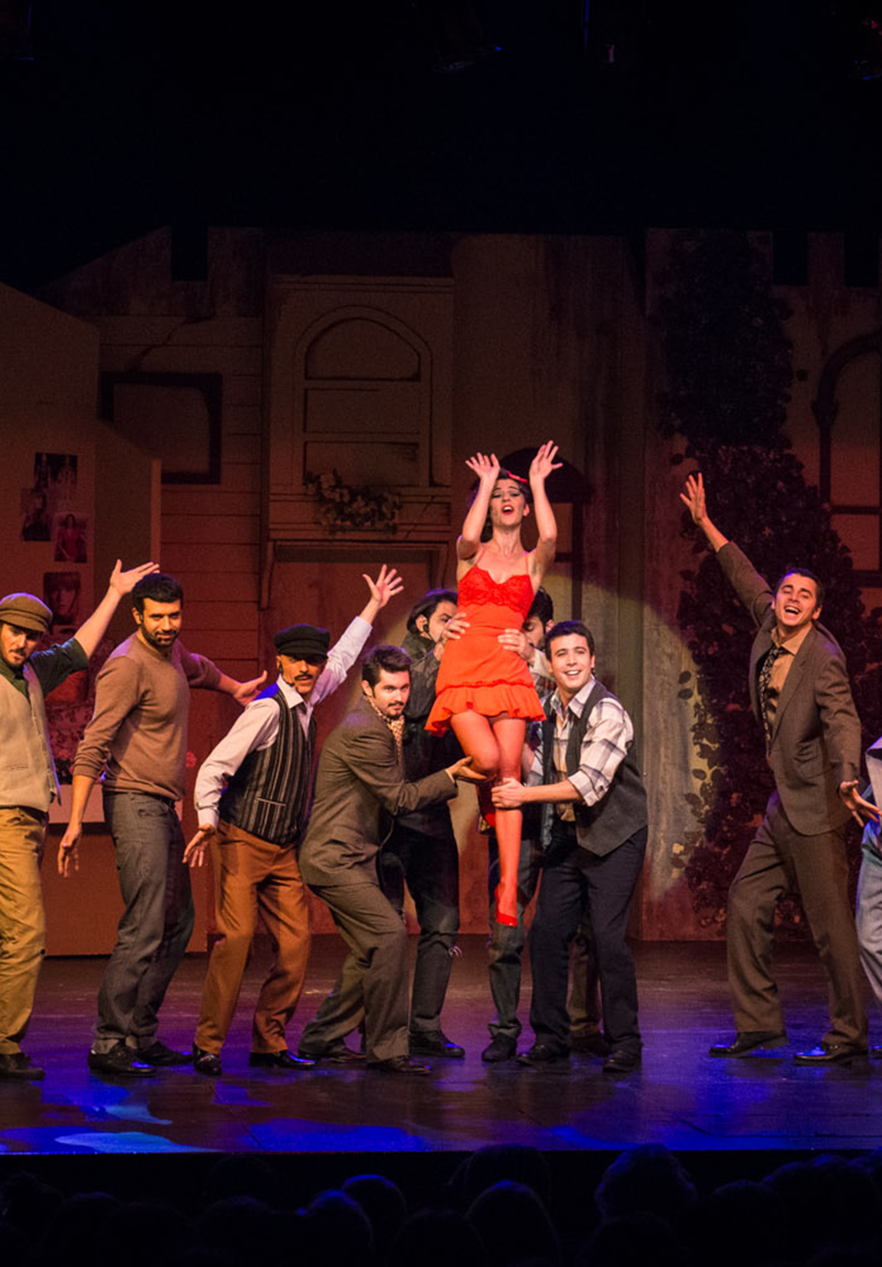 Sokak Kızı İrma Poster