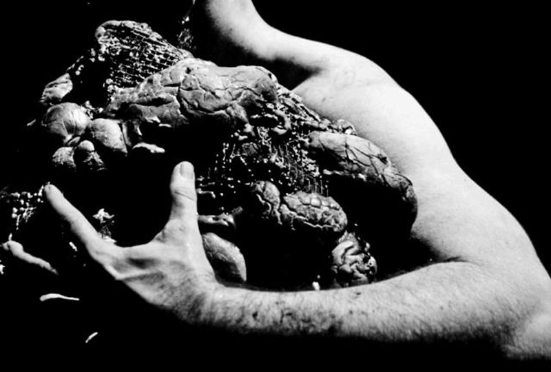 The Plague Galeri 4