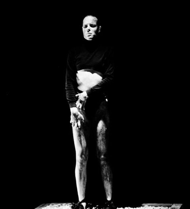 The Plague Galeri 2