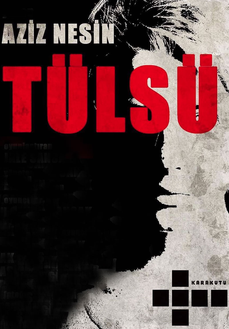 Tülsü Poster
