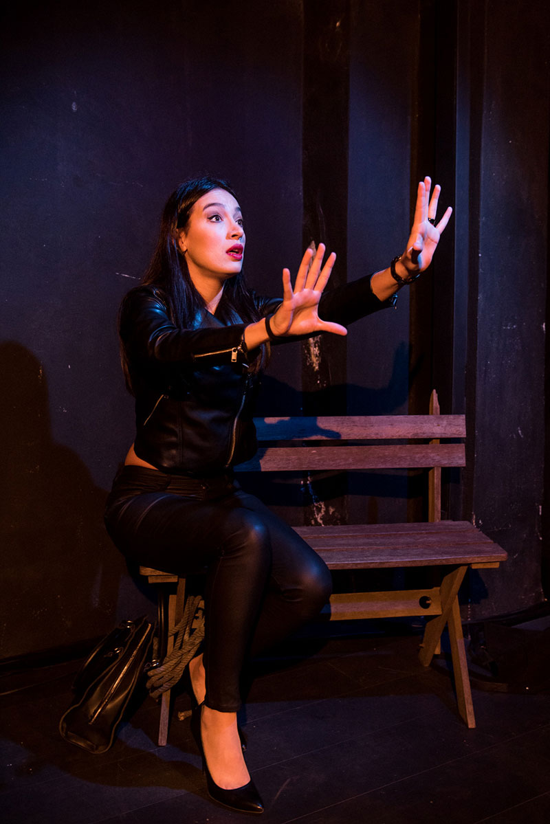 Yaban Arısı Galeri 5