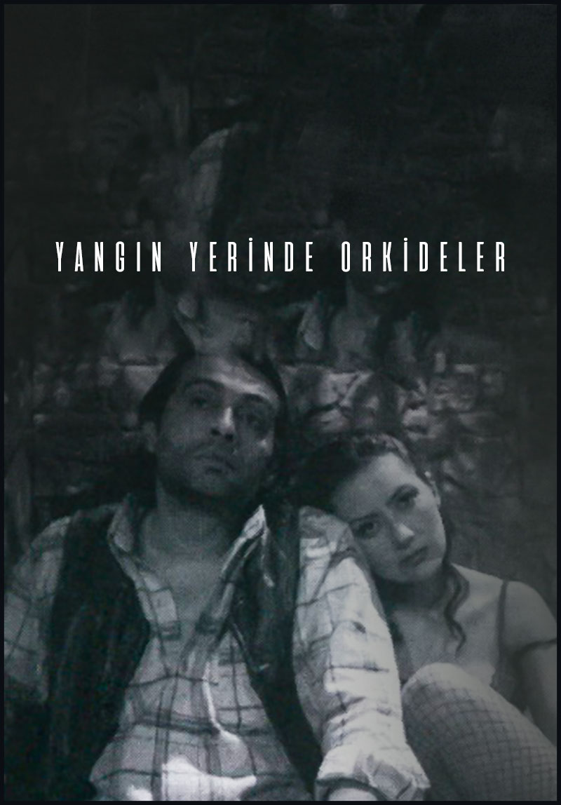 Yangın Yerinde Orkideler Poster