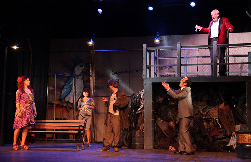 Yangın Yerinde Orkideler Galeri 2