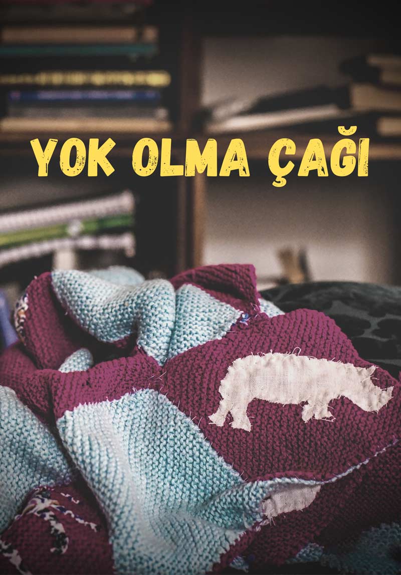 Yok Olma Çağı Poster